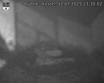 Capi_Dubne_20250712_233002.jpg