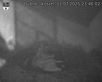 Capi_Dubne_20250712_234002.jpg