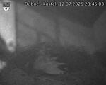 Capi_Dubne_20250712_234503.jpg