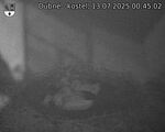 Capi_Dubne_20250713_004502.jpg
