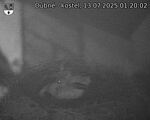 Capi_Dubne_20250713_012002.jpg