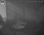 Capi_Dubne_20250713_013002.jpg