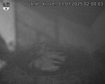 Capi_Dubne_20250713_020003.jpg