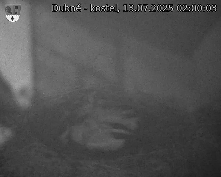 Capi_Dubne_20250713_020003.jpg (1350 x 1080)
