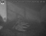 Capi_Dubne_20250713_021002.jpg