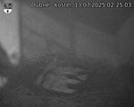 Capi_Dubne_20250713_022503.jpg