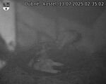 Capi_Dubne_20250713_023502.jpg