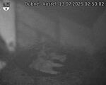 Capi_Dubne_20250713_025002.jpg