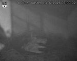 Capi_Dubne_20250713_030002.jpg