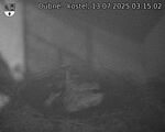 Capi_Dubne_20250713_031502.jpg
