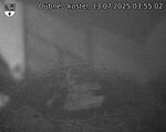Capi_Dubne_20250713_035502.jpg