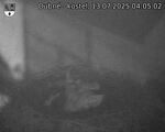 Capi_Dubne_20250713_040502.jpg