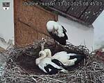 Capi_Dubne_20250713_084503.jpg