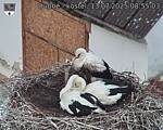 Capi_Dubne_20250713_085503.jpg