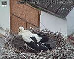 Capi_Dubne_20250713_092503.jpg