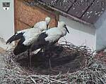 Capi_Dubne_20250713_112003.jpg