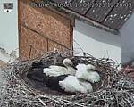 Capi_Dubne_20250713_122003.jpg