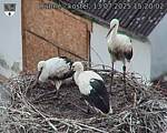 Capi_Dubne_20250713_152002.jpg