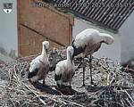 Capi_Dubne_20250713_163503.jpg