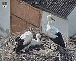 Capi_Dubne_20250713_171003.jpg