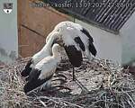 Capi_Dubne_20250713_172003.jpg