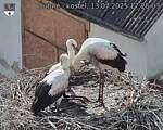 Capi_Dubne_20250713_172503.jpg