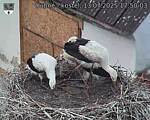 Capi_Dubne_20250713_175003.jpg