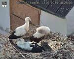 Capi_Dubne_20250713_182503.jpg
