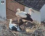 Capi_Dubne_20250713_193003.jpg