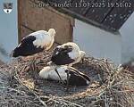 Capi_Dubne_20250713_195002.jpg