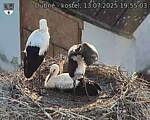 Capi_Dubne_20250713_195503.jpg