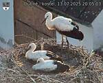 Capi_Dubne_20250713_200503.jpg