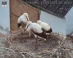 Capi_Dubne_20250713_203003.jpg