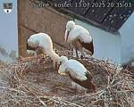 Capi_Dubne_20250713_203503.jpg