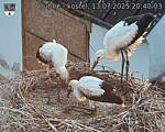Capi_Dubne_20250713_204003.jpg