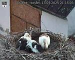 Capi_Dubne_20250713_211503.jpg