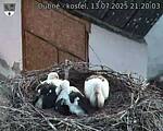 Capi_Dubne_20250713_212003.jpg