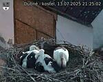Capi_Dubne_20250713_212502.jpg