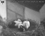Capi_Dubne_20250713_214002.jpg