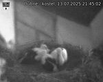 Capi_Dubne_20250713_214502.jpg