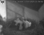 Capi_Dubne_20250713_215002.jpg