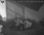 Capi_Dubne_20250713_215503.jpg