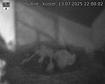 Capi_Dubne_20250713_220002.jpg