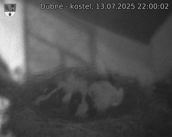 Capi_Dubne_20250713_220002.jpg (1350 x 1080)