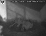 Capi_Dubne_20250713_220502.jpg