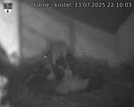 Capi_Dubne_20250713_221003.jpg