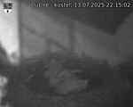 Capi_Dubne_20250713_221502.jpg