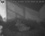 Capi_Dubne_20250713_222003.jpg