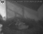Capi_Dubne_20250713_222502.jpg