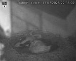 Capi_Dubne_20250713_223502.jpg